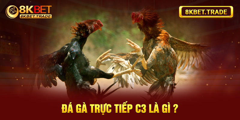 Đá gà trực tiếp C3 là gì?