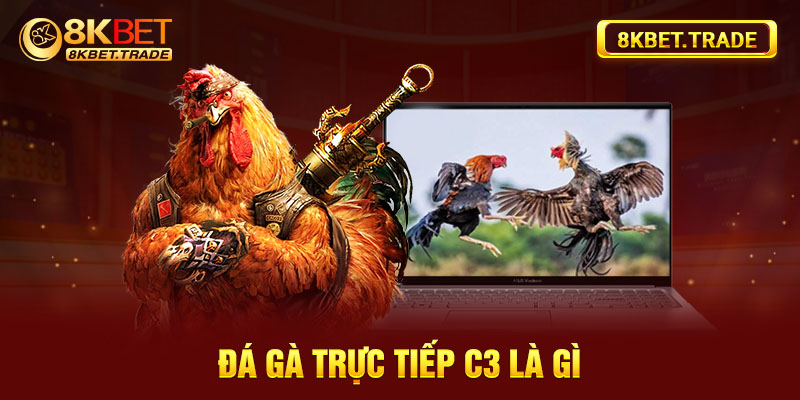 Đá gà trực tiếp C3 là gì