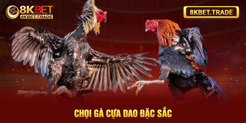 Chọi gà cựa dao đặc sắc