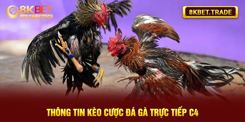 Thông tin kèo cược đá gà trực tiếp C4