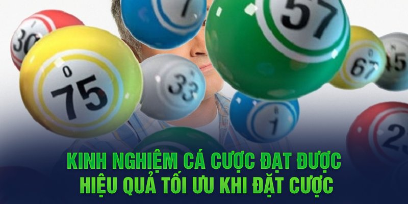 Kinh nghiệm cá cược đạt được hiệu quả tối ưu khi đặt cược