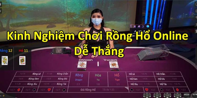 Lưu ý khi chơi Rồng Hổ online